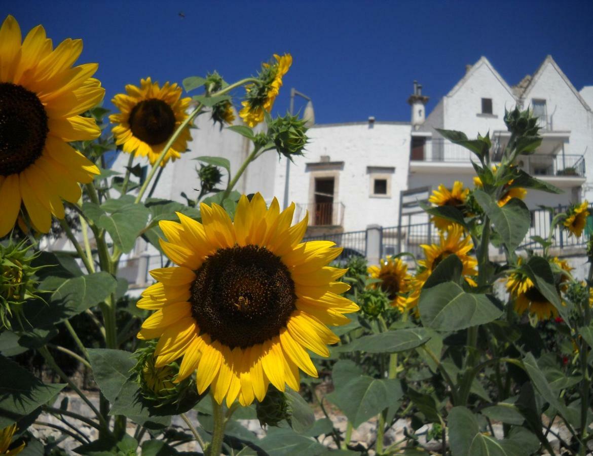 Cuore Dei Venti Bauernhof Martina Franca